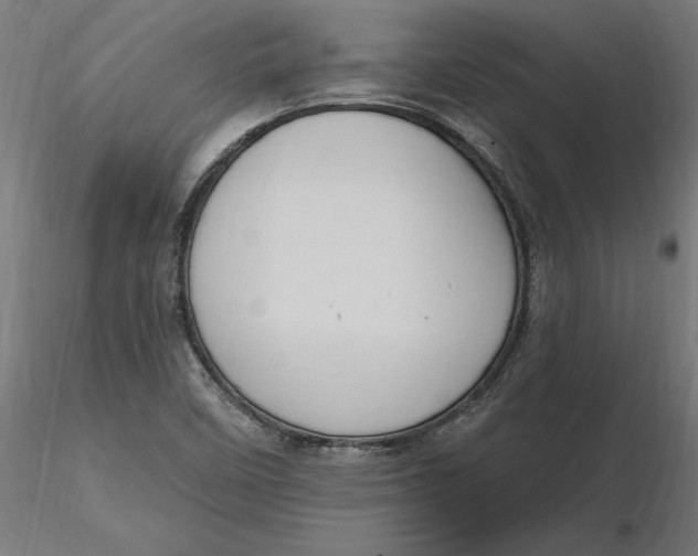 X0000116651458200912291606