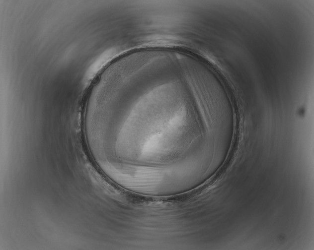 X0000116651459200912291606