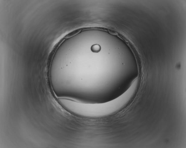 X0000116651460200912291606