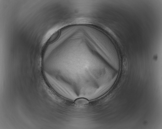 X0000116651461200912291606