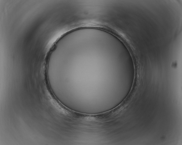 X0000116651463200912291606