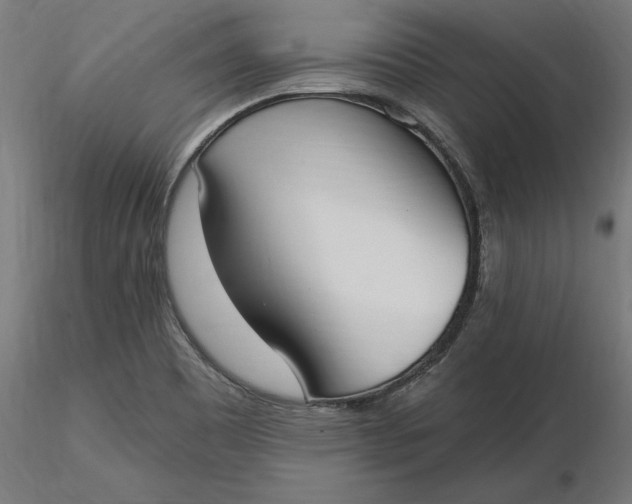 X0000116651465200912291606