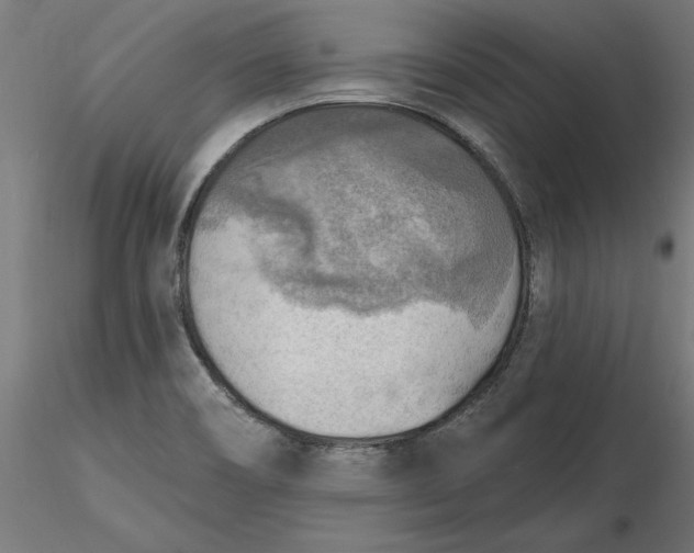 X0000116651466200912291606