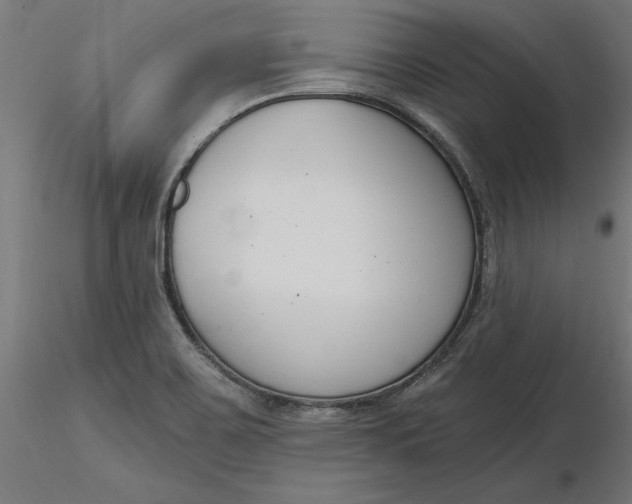 X0000116651467200912291606