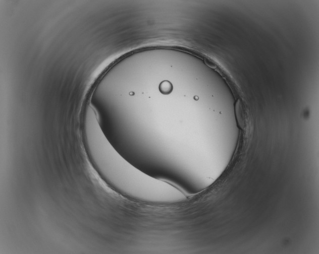 X0000116651468200912291606
