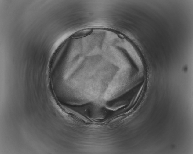 X0000116651469200912291606