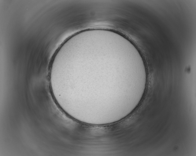 X0000116651470200912291606