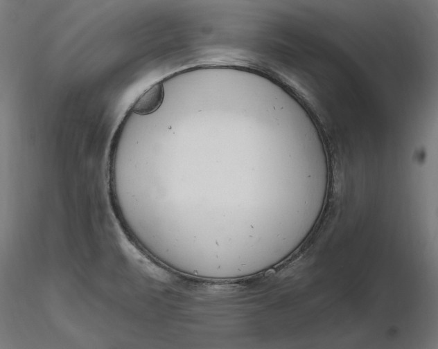 X0000116651471200912291606