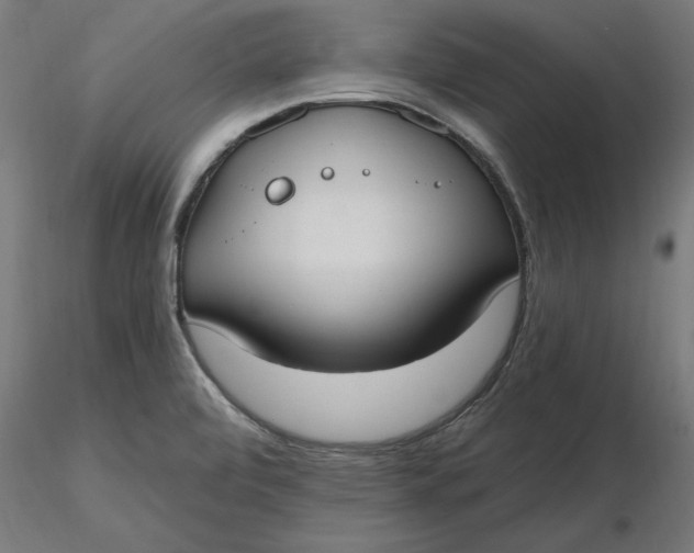 X0000116651472200912291606
