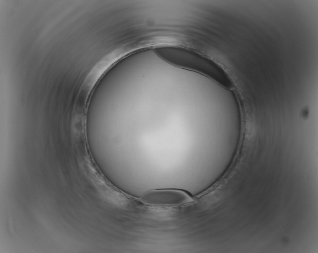 X0000116651473200912291606
