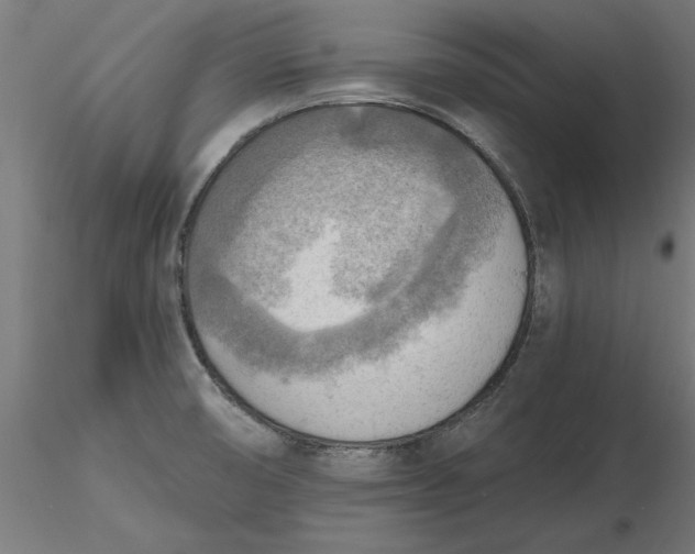 X0000116651474200912291606