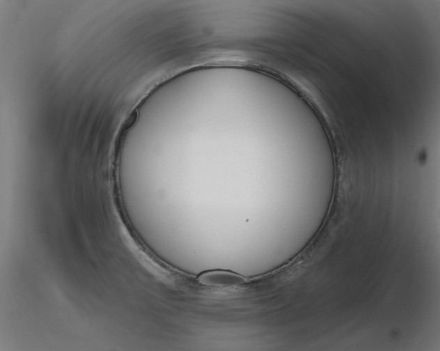 X0000116651475200912291606