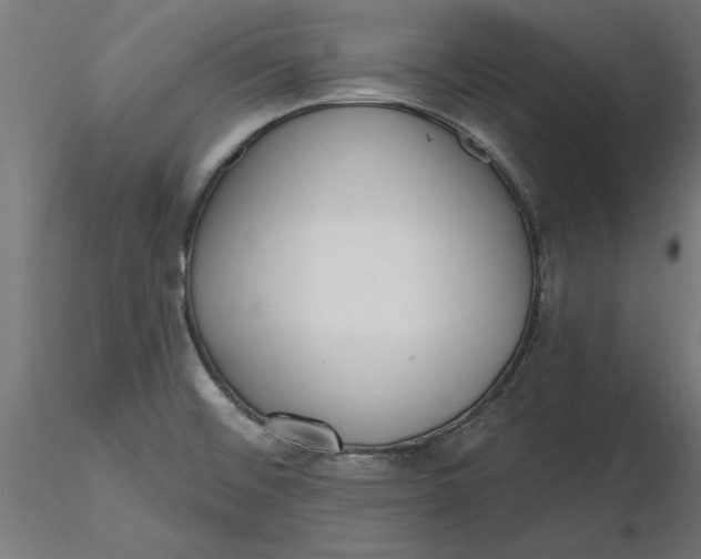X0000116651476200912291606