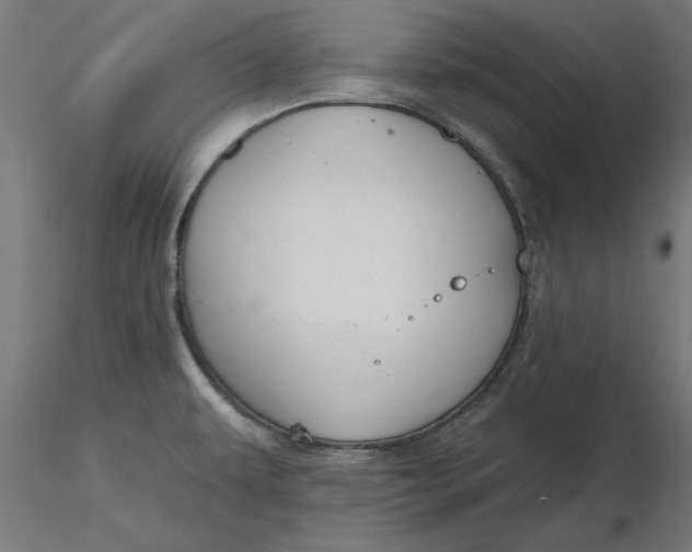 X0000116651479200912291606