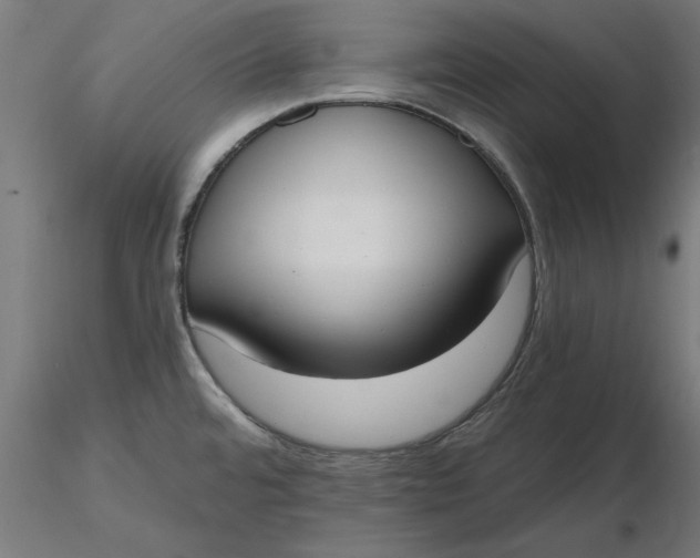 X0000116651480200912291606