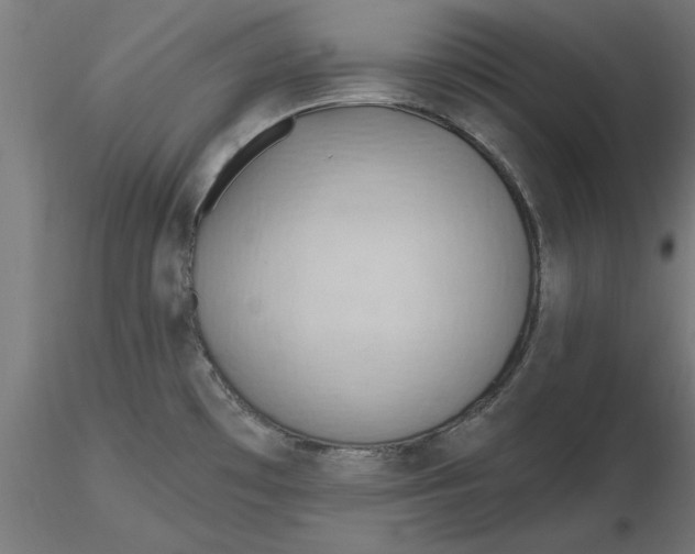 X0000116651481200912291606