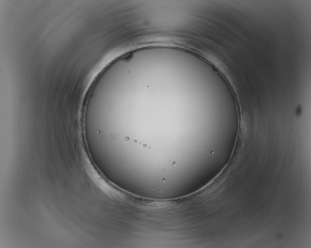 X0000116651482200912291606