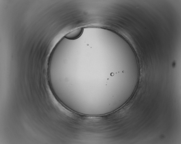 X0000116651483200912291606