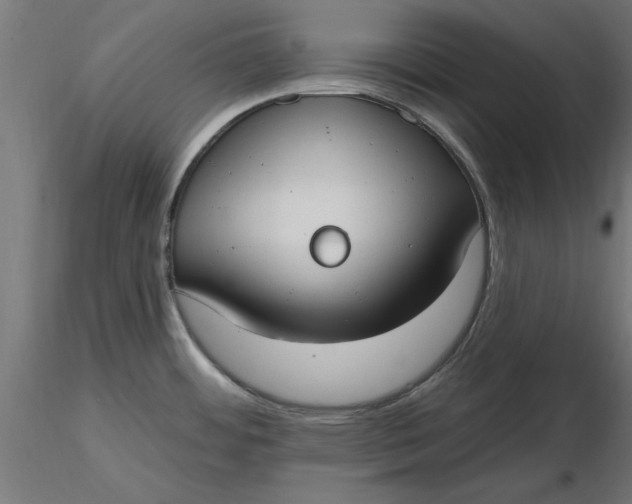 X0000116651484200912291606