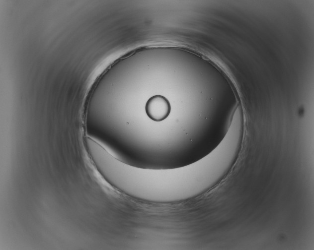 X0000116651485200912291606