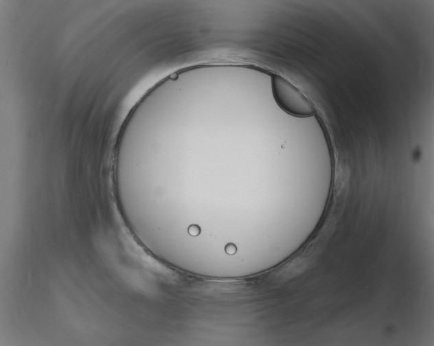 X0000116651486200912291606