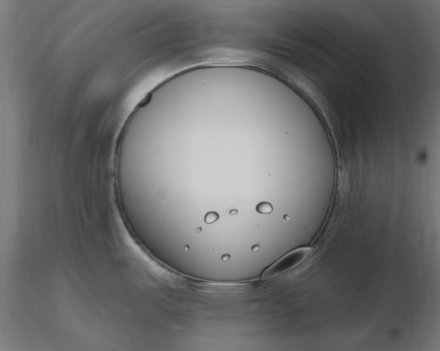 X0000116651487200912291606