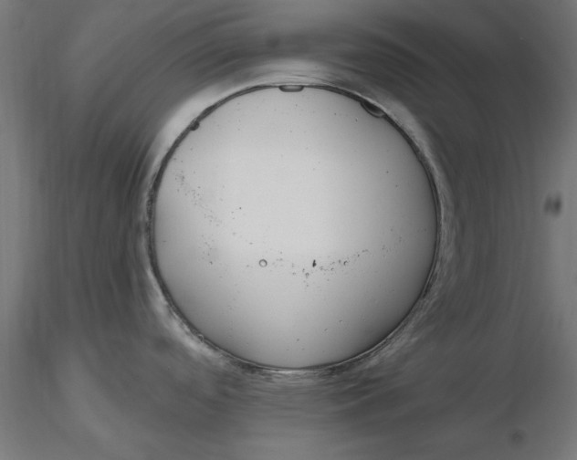 X0000116651488200912291606