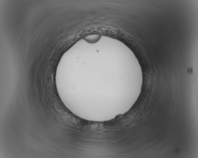 X0000116651489200912291605