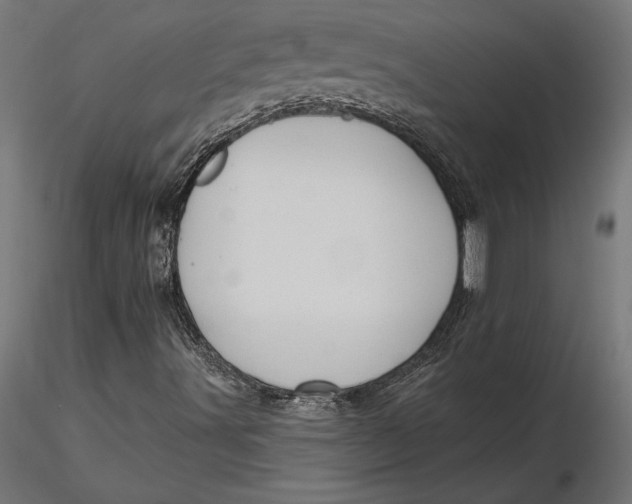 X0000116651491200912291605