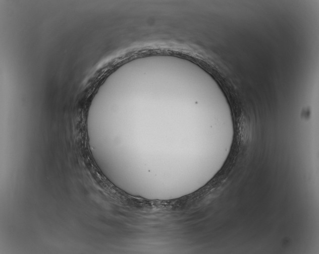 X0000116651494200912291605