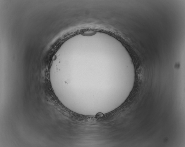 X0000116651495200912291605