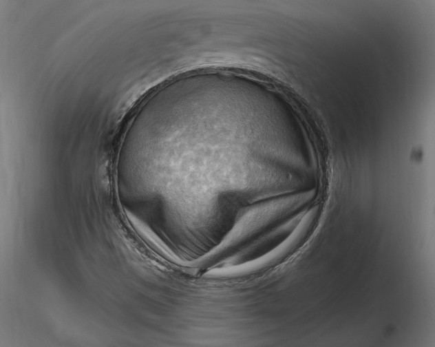 X0000116651497200912291605