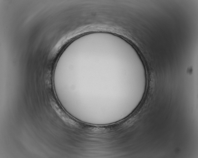 X0000116651499200912291605