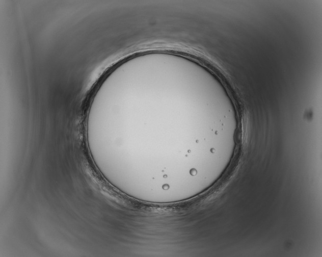 X0000116651501200912291605