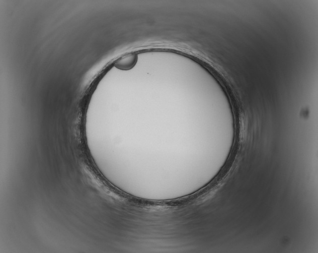 X0000116651502200912291605