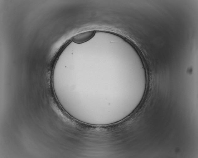 X0000116651503200912291605