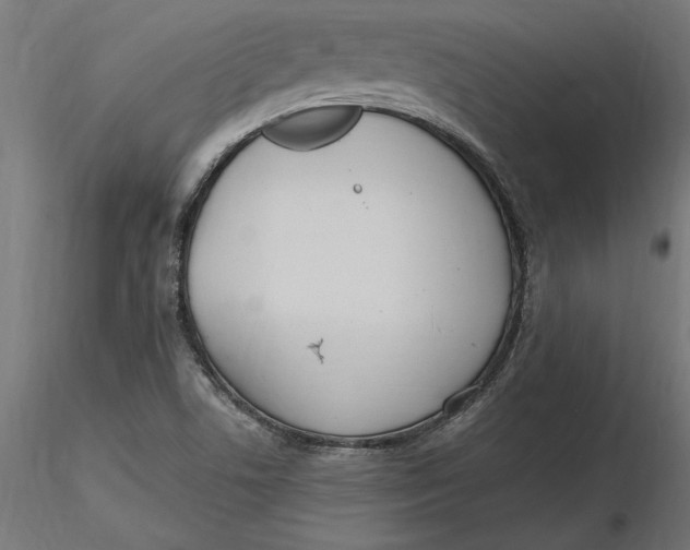 X0000116651506200912291605
