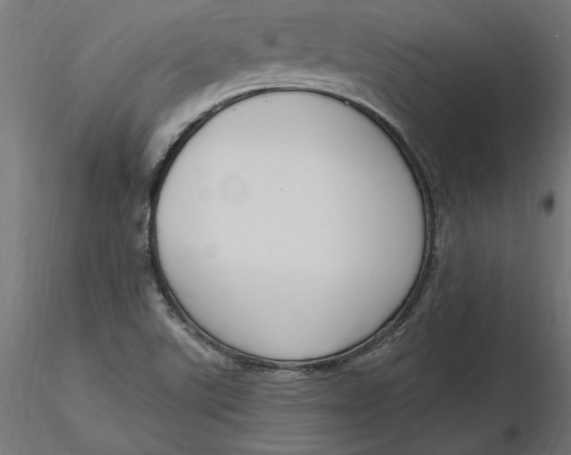 X0000116651507200912291605