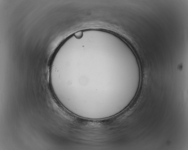 X0000116651509200912291605