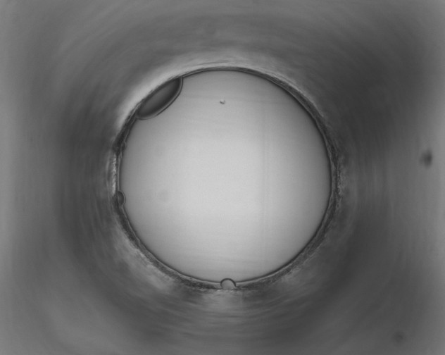 X0000116651510200912291605