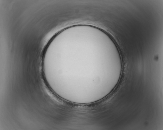X0000116651511200912291605