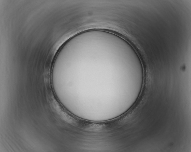 X0000116651513200912291605