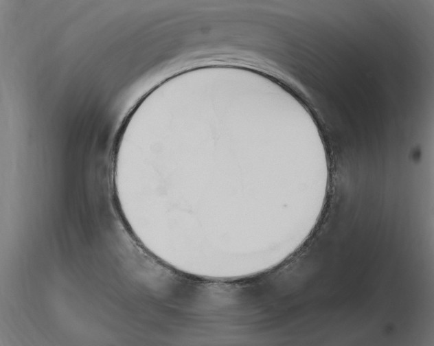 X0000116651514200912291605
