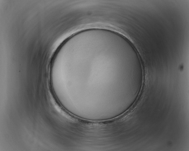 X0000116651515200912291605