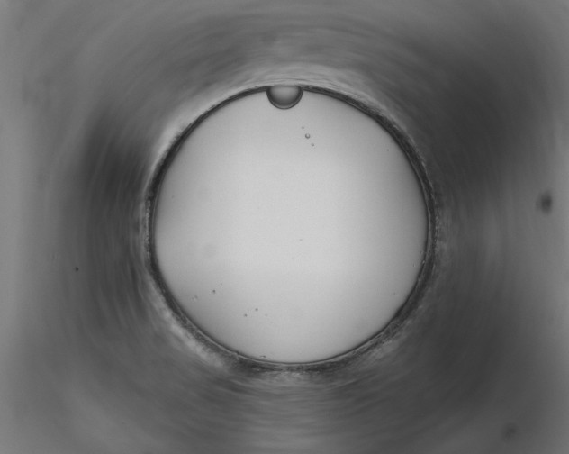 X0000116651517200912291605