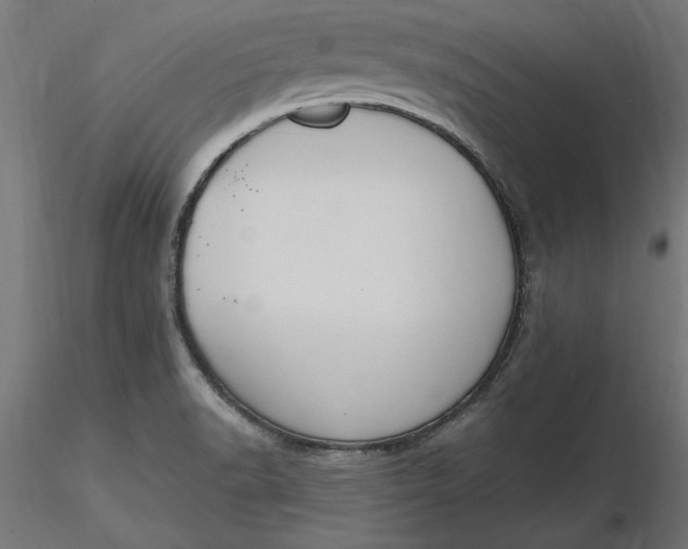 X0000116651518200912291605