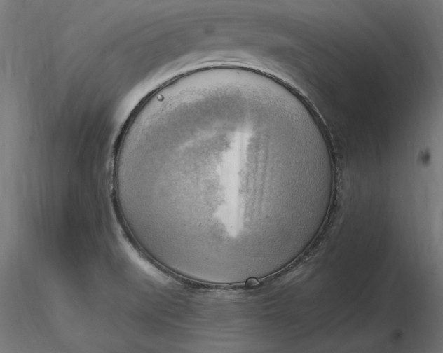 X0000116651519200912291605