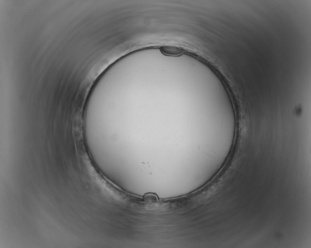 X0000116651521200912291605