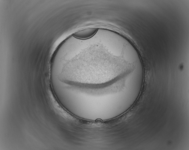 X0000116651522200912291605