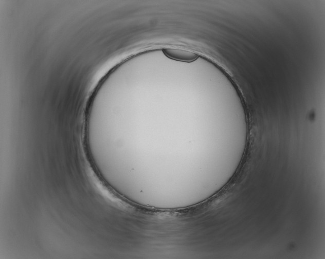 X0000116651523200912291605